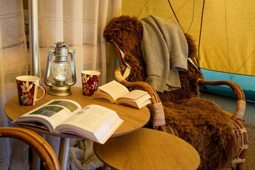un oso de peluche sentado en una mesa con un libro en Västeräng Glamping en Lillandet