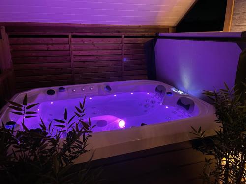 une baignoire jacuzzi dans une pièce avec éclairage violet dans l'établissement Domaine les 2 Mondes, à Aydat