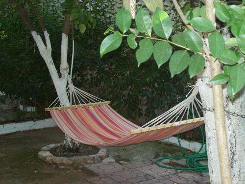 Κήπος έξω από το Achilleas Rooms