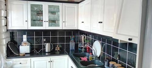 Η κουζίνα ή μικρή κουζίνα στο VILLA CRYSTAL BLUE SEA