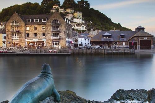 a seal laying in the water in front of a city at The Captain's Lodge Looe in Looe