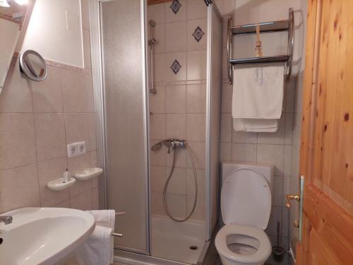 a bathroom with a shower and a toilet and a sink at Landhaus zum Siebenschläfer in Herrnbaumgarten