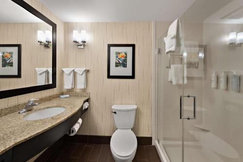 a bathroom with a toilet and a sink and a shower at Hilton Garden Inn Findlay in Findlay