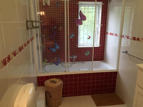 a bathroom with a shower with butterflies on the wall at La Pointe Villas in Pointe aux Cannoniers