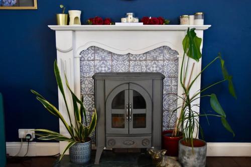 a fireplace in a blue room with plants at Vibrant 1BD flat with Garden in Dunfermline, Fife in Dunfermline