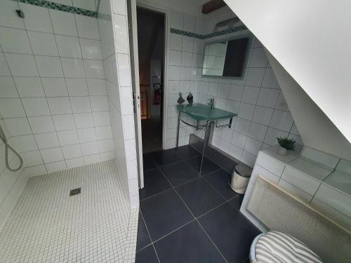 uma pequena casa de banho com um lavatório e um chuveiro em La Maison de Julise em Cossé-le-Vivien