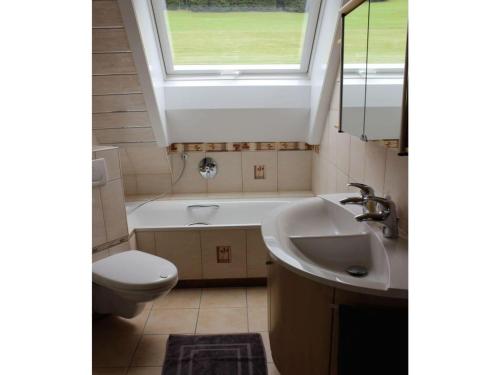 baño con lavabo y aseo y ventana en Forgetful the big one, en Titisee-Neustadt