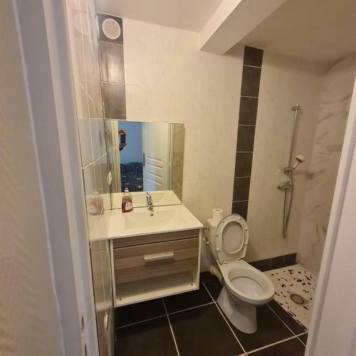 une salle de bain avec toilettes, lavabo et miroir dans l'établissement RESIDENCE Miranda, à Dijon