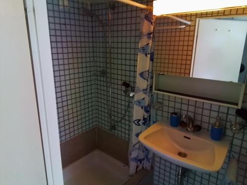 La salle de bains est pourvue d'un lavabo et d'une douche. dans l'établissement tiny flat, à Saint-Gall