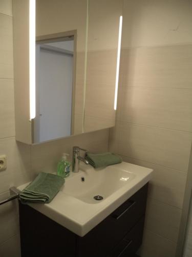 Apartment Pilzにあるバスルーム