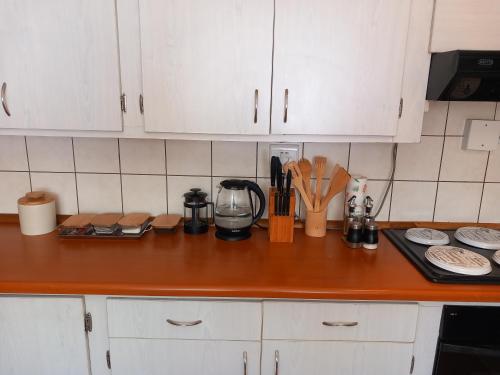 Kuchyň nebo kuchyňský kout v ubytování 19 On Kruger Apartments