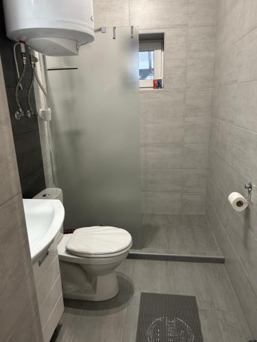 uma casa de banho com um WC, um lavatório e um chuveiro em Jana Apartman em Mezőkövesd