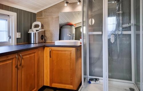 a bathroom with a shower and a sink at Nice Home In Fossdal With House A Panoramic View in Fossdal