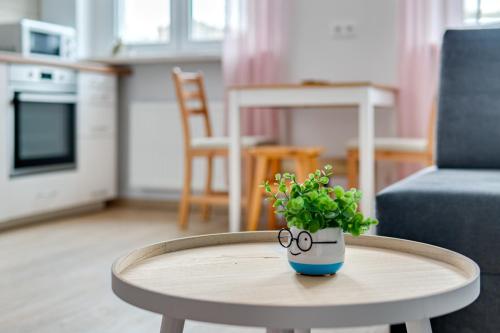 una mesa con una maceta encima en Mały Rynek Studio, en Opole