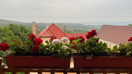 two pots of flowers on a balcony with a house at Pensiunea IULIA in Rod