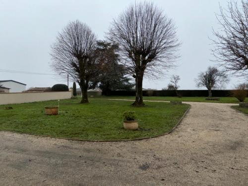 Saint-Maurice-de-Tavernole的住宿－Le Colas，两棵树在草地区,有两棵盆栽植物