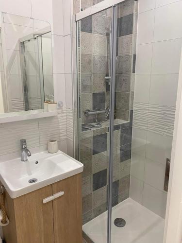 une salle de bain avec un lavabo et une douche dans l'établissement Escapades L'Isloises au cœur de L'Isle-sur-la-Sorgue., à LʼIsle-sur-la-Sorgue