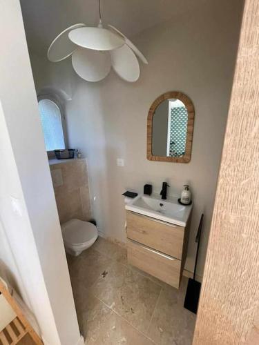 une salle de bain avec toilettes, lavabo et miroir dans l'établissement Au p'tit soleil - Charmant T2 en Provence, à Barjols