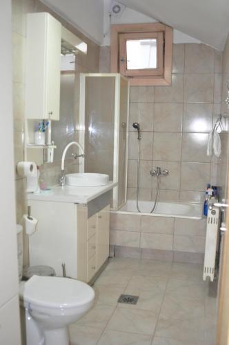 a bathroom with a toilet and a sink and a shower at Luxury Apartment with parking space in Vodno
