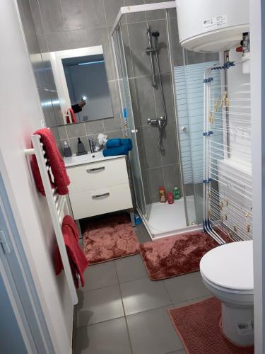 une salle de bain avec une douche, un lavabo et des toilettes dans l'établissement Jolie perle, à Saint-Priest