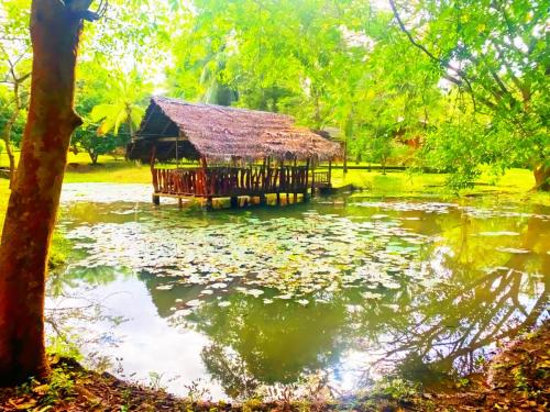 Pondview Riverside Resort – Photos 3