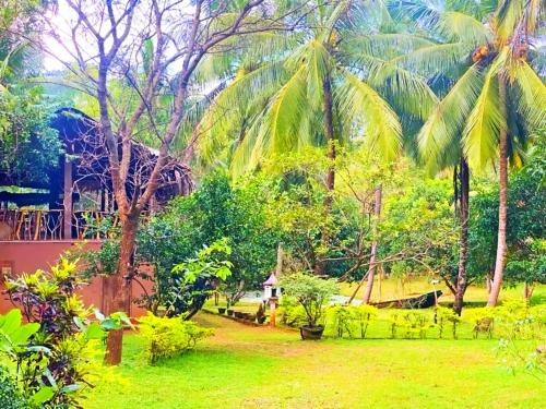 Pondview Riverside Resort – Photos 5
