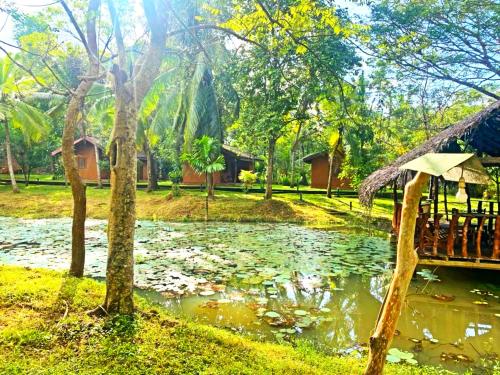 Pondview Riverside Resort – Photos 4