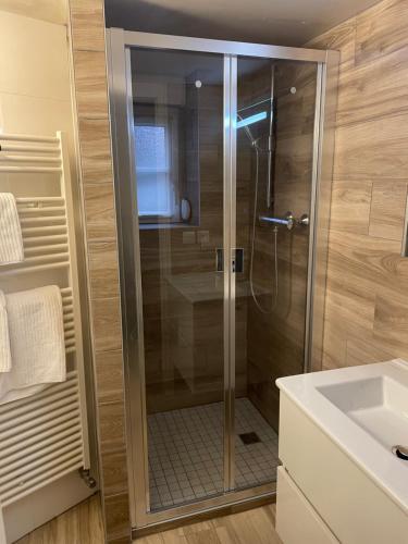 une douche avec une porte vitrée dans une salle de bain dans l'établissement Loft city center with parking, à Strasbourg