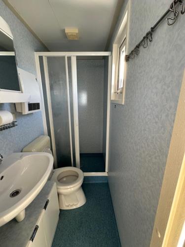 a bathroom with a white toilet and a sink at Duinviool in Nes