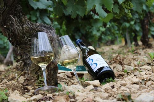 Les Suites Gueguen في شابلي: كأسين من النبيذ الأبيض بجوار زجاجة من الشمبانيا