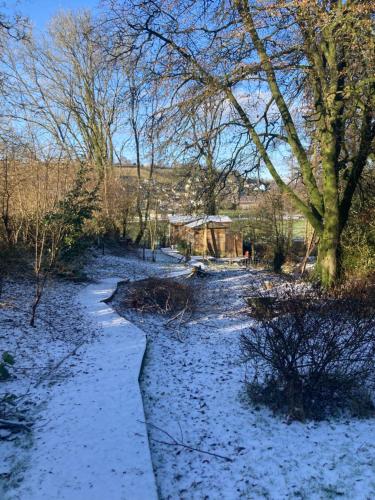 a river with snow on the ground and trees at Honey Bee Cabin in Llandysul
