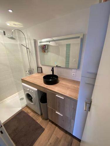 une salle de bain avec un lavabo et une machine à laver dans l'établissement Cocon idéalement situé entre terre et mer, à Argelès-sur-Mer