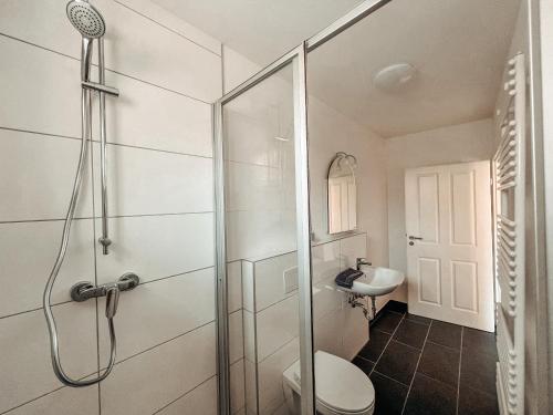 a bathroom with a shower and a toilet and a sink at Drei Linden Stadtmarkt in Wolfenbüttel