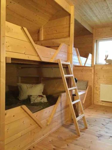a bunk bed in a wooden cabin with a ladder at Chalet mit Almhüttencharme für bis zu 11 Personen in Litzendorf