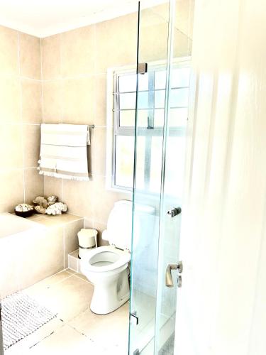 a bathroom with a toilet and a glass shower at Elysian Retreat in Ballito