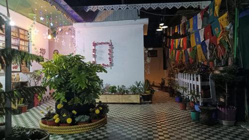 Фотография из галереи The Sunset Nest offbeat Homestay в Дарджилинге