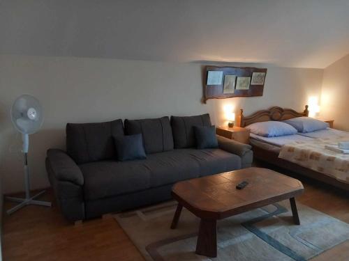 a living room with a couch and a bed at Villa Aura in Ciechocinek