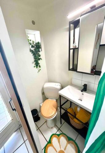 une petite salle de bain avec toilettes et lavabo dans l'établissement HYPER CENTRE d’Avignon Terrasse WIFI et Climatisation, à Avignon