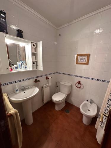 a bathroom with a sink and a toilet and a mirror at Apartamento Las Martas in Comillas