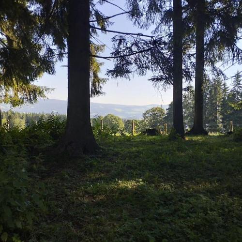 Un paisaje natural cerca de la casa vacacional