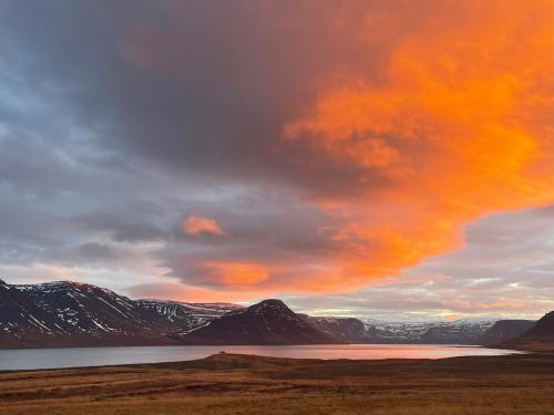 Un paisaje natural cerca de la casa de huéspedes
