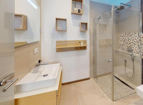 een badkamer met een wastafel en een douche bij CozyHome Apartment am Hasselbachplatz in Maagdenburg