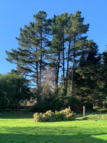 Κήπος έξω από το Domaine de la Blanche Hermine