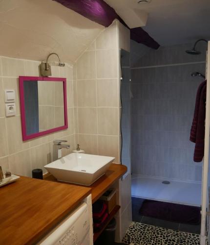 une salle de bain avec un lavabo et une baignoire dans l'établissement La Maréchalerie LA FORGE, à Lion-en-Sullias