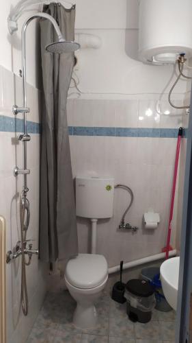 a bathroom with a toilet and a shower and a sink at Κεντρικό στούντιο στην Καρδίτσα. in Karditsa