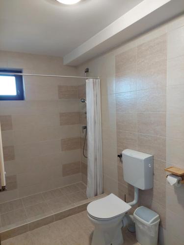 a bathroom with a toilet and a shower at Pensiunea Grandor in Păltiniş