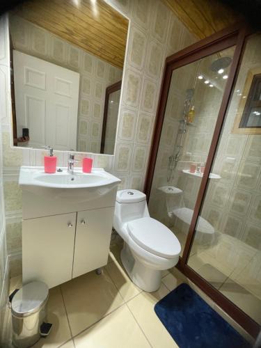 a bathroom with a toilet and a sink and a shower at Comodidad y hermosa Vista Volcán in Melipeuco