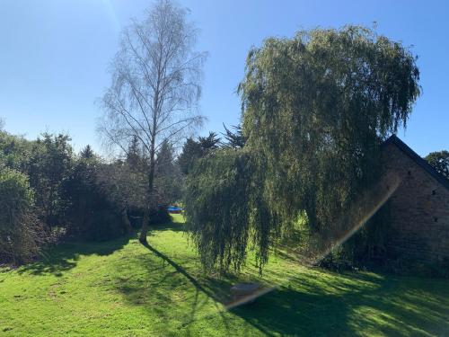 a tree in a field next to a building at Cornouaille / Domaine la Blanche Hermine in Plounérin