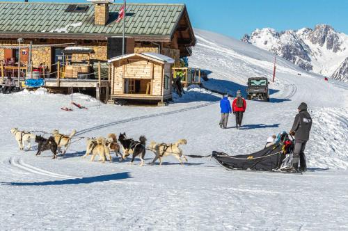 a group of dogs pulling a sled in the snow at Maison Lennox in Mâcot La Plagne