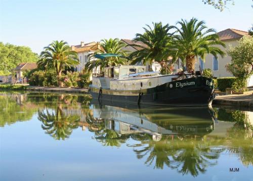 a boat in a canal with palm trees and houses at Villa Napoléon Piscine&Jacuzzi in Le Somail